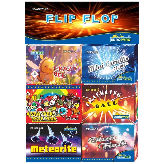 1 Flip Flop Assortment